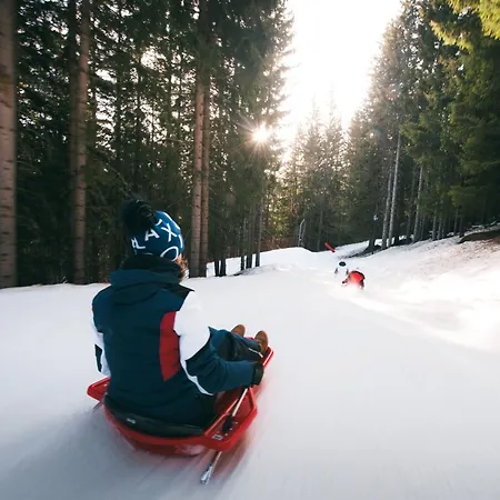 Confortable 2 Pieces Skis Aux Pieds Pres Des Commerces - Fr-1-182a-6 Lejlighed *