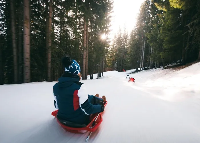 Confortable 2 Pieces Skis Aux Pieds Pres Des Commerces - Fr-1-182a-6 Lejlighed *